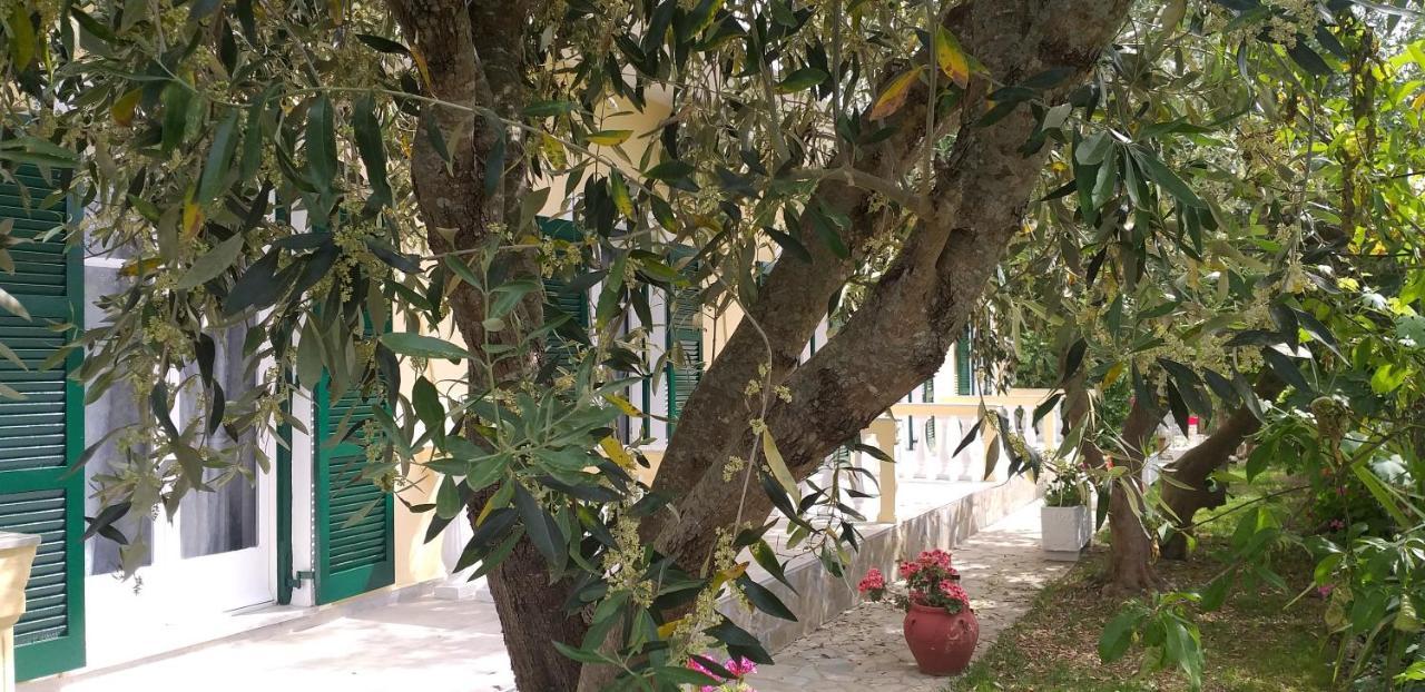 Kapetanios Luxury Aparthotel Agios Georgios  Exterior foto